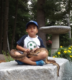 DSCF4113