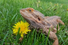 20170506_190040