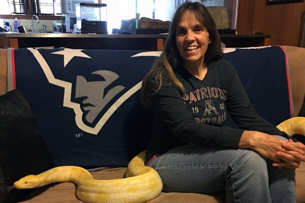 How to Conquer your Fear of Snakes | Reptile Shows of New England
