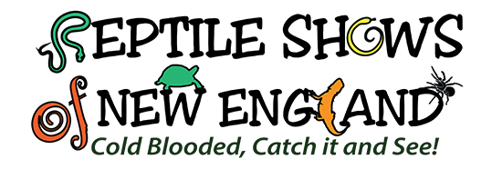Reptile Shows of New England Logo