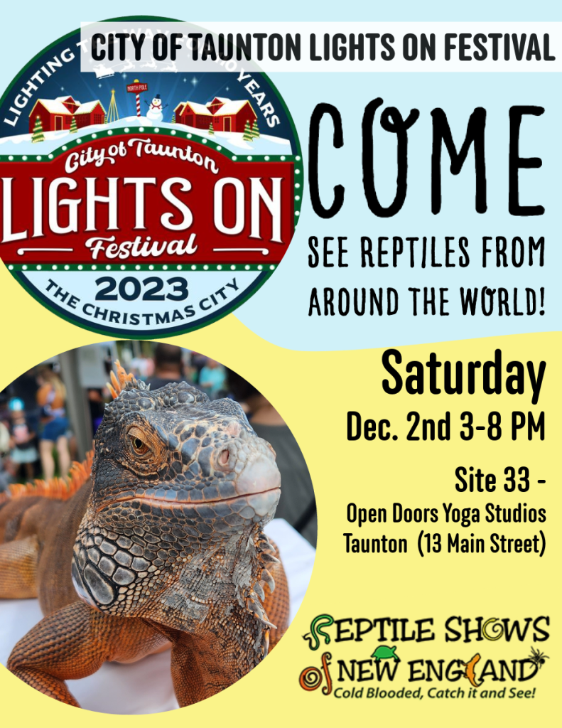 City of Taunton Lights On Festival Reptile Shows of New England