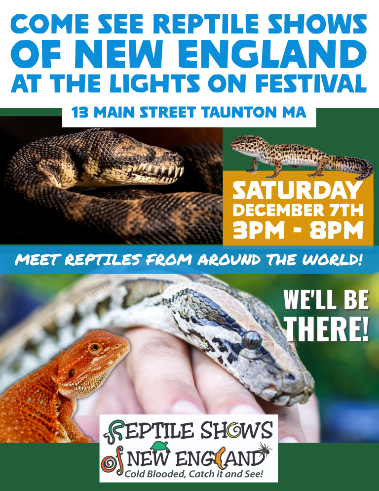 lights on festival 2024 Reptile Shows of New England